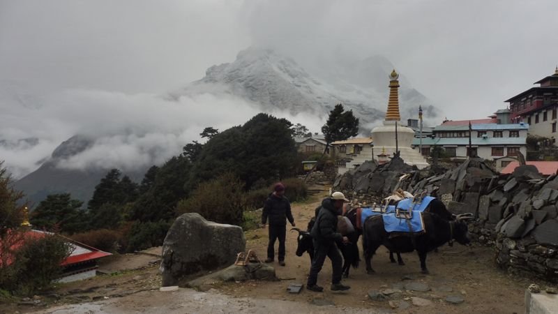 TENGBOCHE (10)