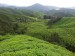 CAMERON HIGHLANDS 4 [800x600]